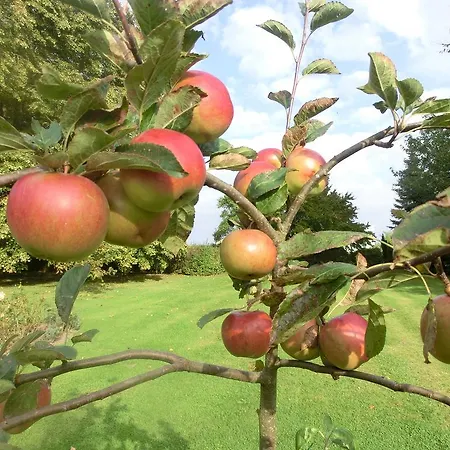 Kastanienhof Kalleby