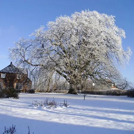 Prázdninový dům Kastanienhof Kalleby