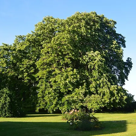 Nyaraló Kastanienhof Kalleby